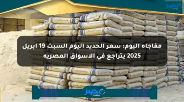 مفاجأة اليوم: سعر الحديد اليوم السبت 19 إبريل 2025 يتراجع في الأسواق المصرية